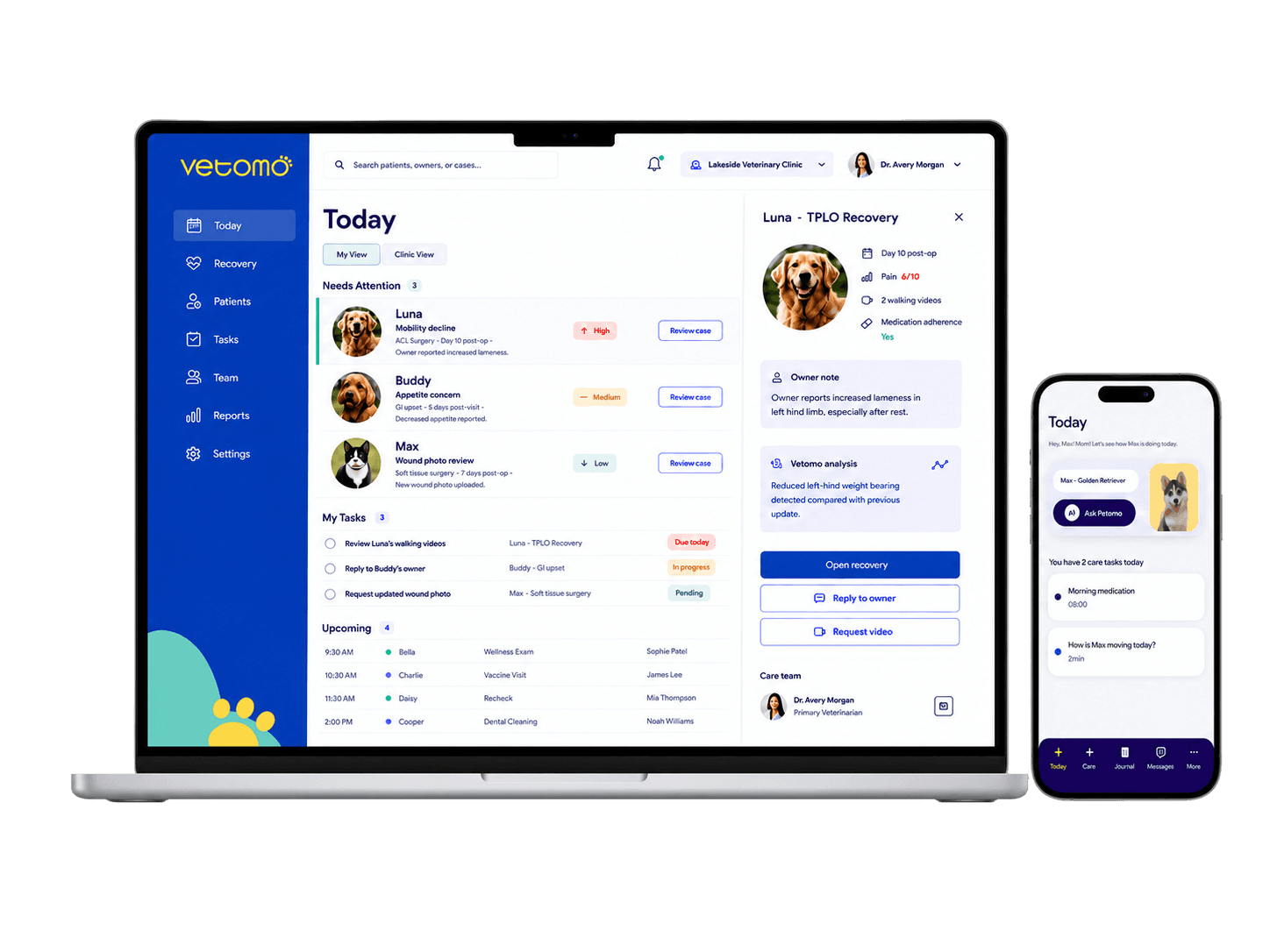 Vetomo-praktijkdashboard vanuit de verbonden nazorgervaring